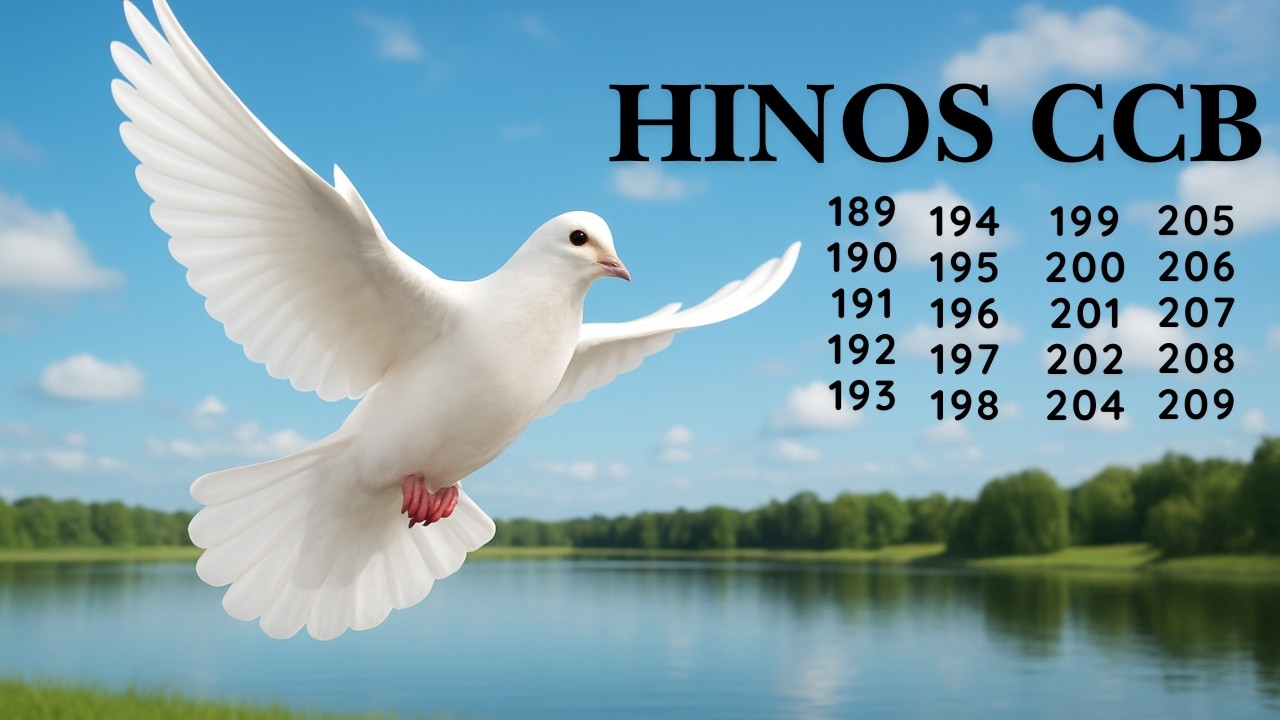 HINOS CCB - 77 | 189 190 191 192 193 194 195 196 197 198 199 200 201 202 204 205 206 207 208 209