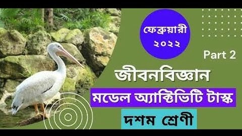মডেল এক্টিভিটি টাস্ক জীবন বিজ্ঞান | দশম শ্রেণী | পার্ট 2 |MAT Class 10 Life Science Part 2 |