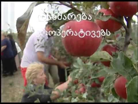 ევროპის სამეზობლო პროგრამა