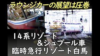 【北陸路の昼行急行】14系臨時急行リゾート白馬