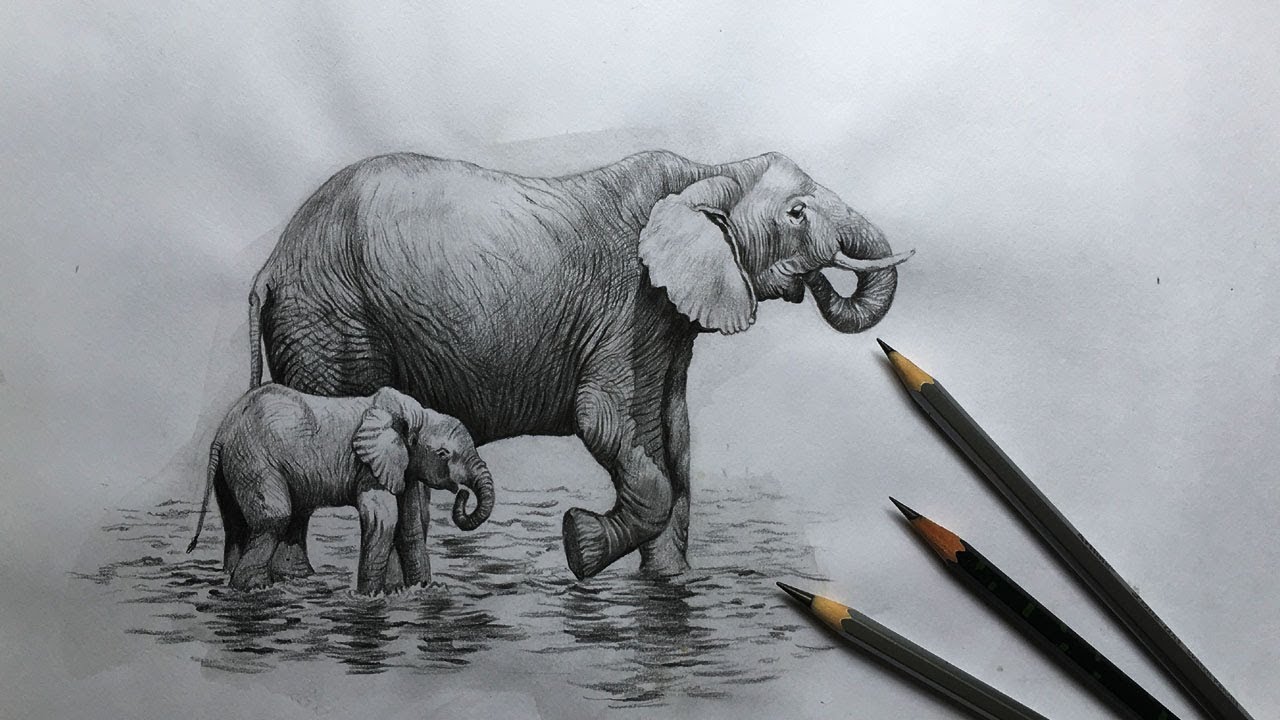 Featured image of post Art Pencil Easy Art Pencil Elephant