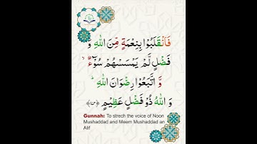 Learn Tajweed of Surah Al-Imran 174 (آيات الحفظ) سورة العمران - تعلم التجويد - Rules + Practice