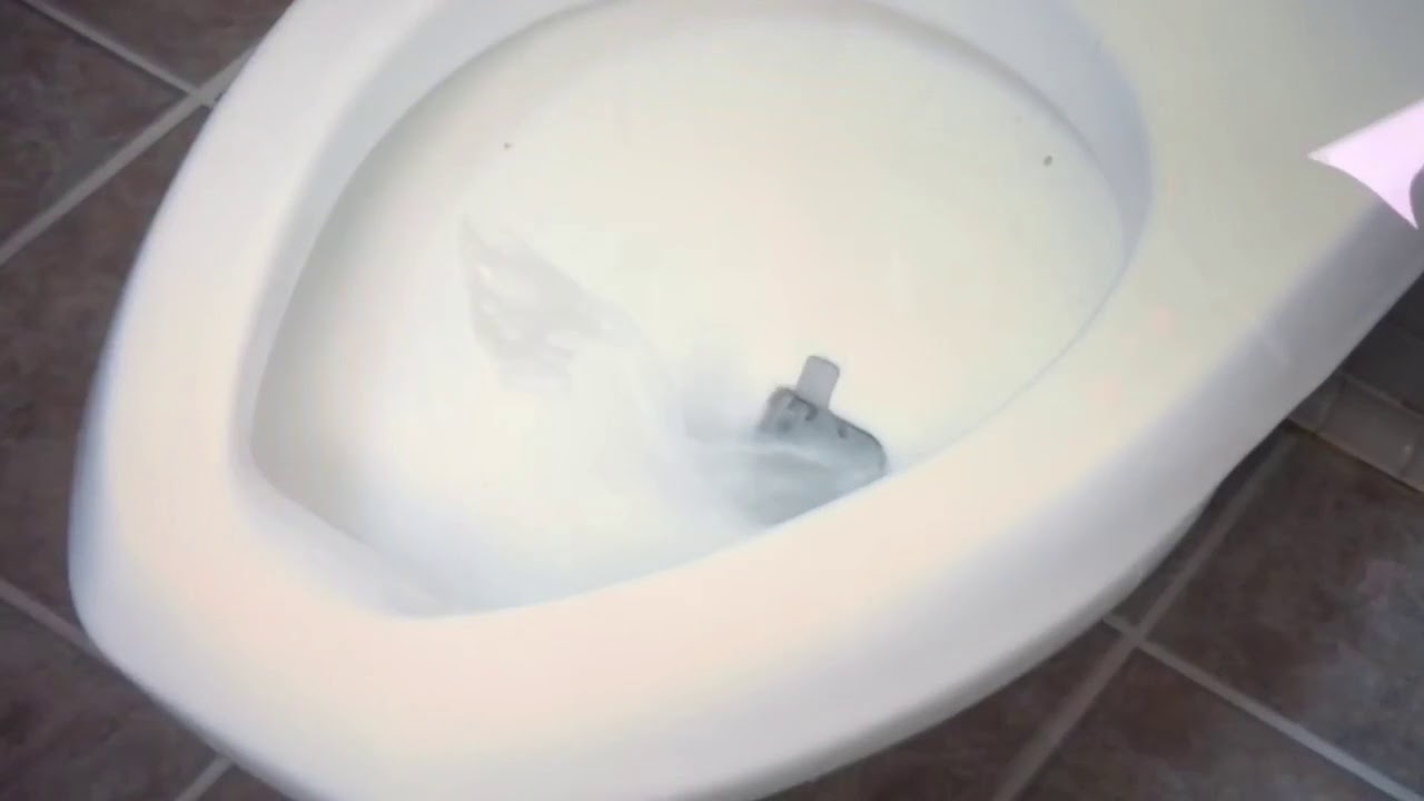 Plumbing Protection System Toilet Guard YouTube