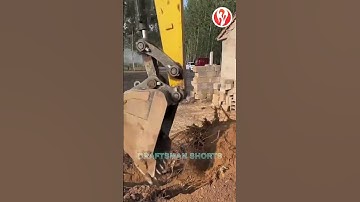Tree roots | Excavators dig out tree roots in just a few strokes