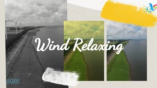 Stellar Wind - Unicorn Heads🆓, wind relaxing music, study music, lofi, SQRC