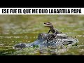 MEMES DE ANIMALITOS