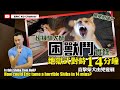 超級馴犬師困獸鬥實錄👹地獄式對峙14分鐘直擊柴犬由兇變馴 Is this Shiba from Hell 😈How could Eric tame a horrible Shiba in 14mins