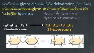 ชีววิทยา เคมีที่เป็นพื้นฐานของสิ่งมีชีวิต