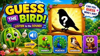 The MAGIC Bird Guessing Game! | Guess The Bird Sound? | Happy Melon Kids screenshot 5