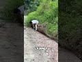 The Road Cleaning Angel