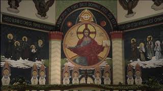 Feast of the Sacred Heart (11th Sunday in Ordinary Time)-6PM Evening Mass