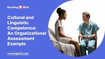 Cultural and Linguistic Competence: An Organizational Assessment Example - Essay Example