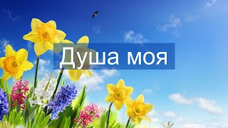 ♫  Душа моя - християнська пісня, фонограма (мінус)