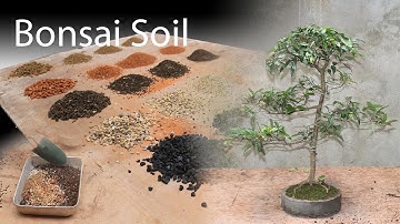 Bonsai soil mix | Bonsai soil basics for beginners
