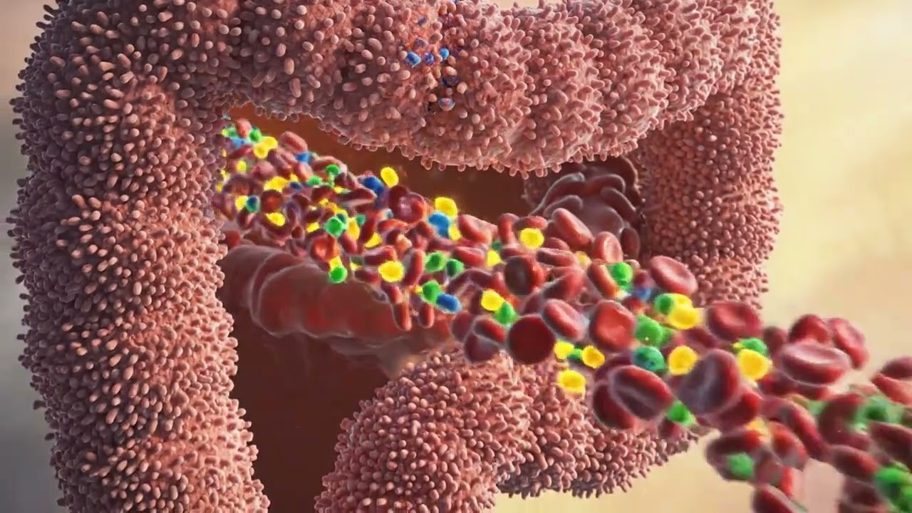 Eating, Apples, and Digestion: The Fast Track!