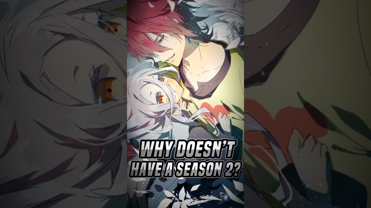 Why Doesn’t No Game No Life Have a Season 2?