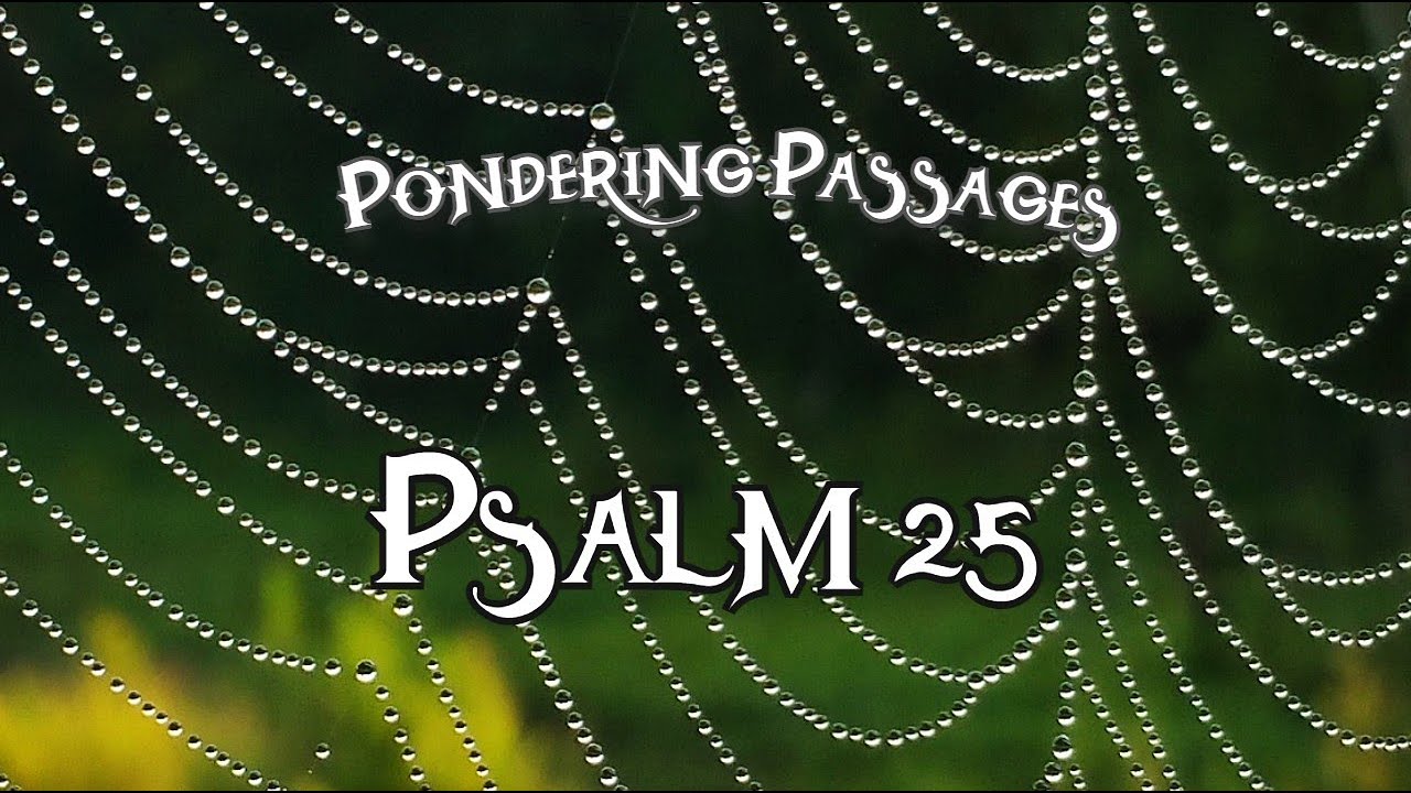 Pondering Psalm 25
