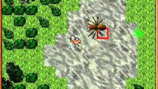 (TMA) Looking at the past of tibia
