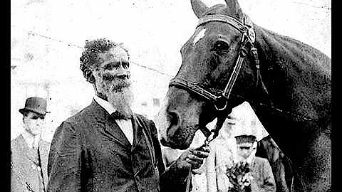 This "Horse Story" Is True. The Smartest Horse Tha...