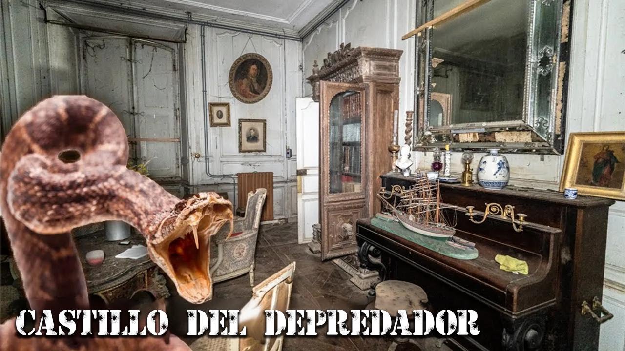El enigmático castillo Predator abandonado en Francia: ¡tesoro del siglo XV!