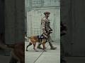These K9s Are True Warriors 🐕 | Special Operations Training #army #trending #military #youtubeshorts