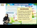 Science Class 8 Chapter 1 Ecology | Energy Flow in Ecosystems | Food Chain and Food Web | 8th Class
