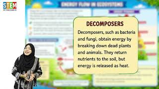 Science Class 8 Chapter 1 Ecology | Energy Flow in Ecosystems | Food Chain and Food Web | 8th Class