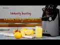 Immunity Boosting Lemon Ginger Shots -  Kuvings Cold Press Juicer EVO820