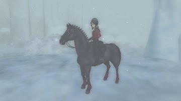 Polarize II SSO II TELEDYSK