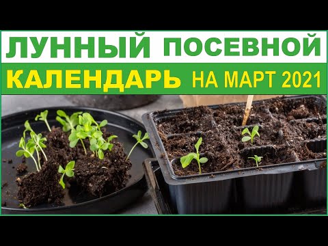 Видео: Лунният здравен календар за март 2021 г