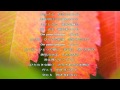 Do Your Dream/野川さくら/歌詞付き Relaxing Music
