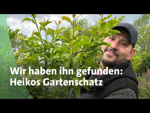 Gartenschatz gesucht: In Heikos Traumgarten in Erfurt | MDR Garten