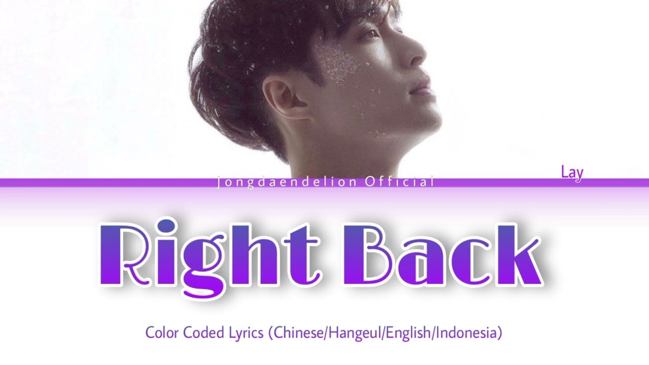 D.N.A Lay (레이/张艺兴) - Right Back Color Coded Lyrics (Chinese
