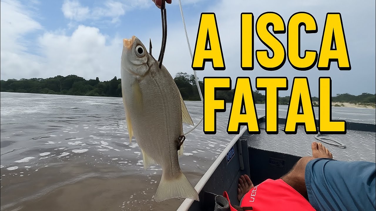 Segredo REVELADO: Essa isca atrai os MONSTROS do fundo do rio!