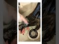 Degradè Hair