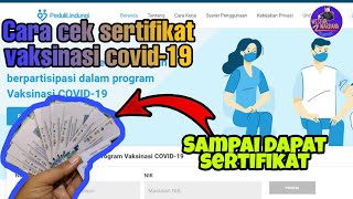 Cara cek status dan sertifikat vaksinasi covid-19 di situs PeduliLindungi | Gampang dan Sukses