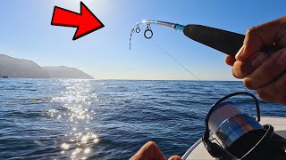 Fishing Catalina Island with Surface Irons! + More