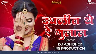 Udhalit Yere Gulal Sajana - Remix | DJ Abhishek & NS Production | उधळीत येरे गुलाल साजना DJ Remix