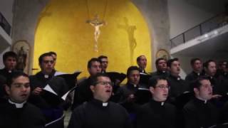 Schola Cantorum del Seminario Diocesano de Guadalajara