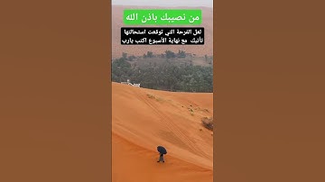 بشارة لك قران كريم قصص الانبياء حالة واتساب #قران_كريم #اكسبلور #لايك ##تيك_توك #ترند #عالم_ياسين