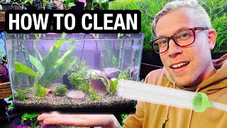 How to Clean Your Fish Tank  NEED to Know