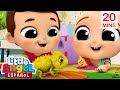 ¡Una Nueva Mascota! | Caricaturas | Canciones Infantiles🎵| Little Angel Español