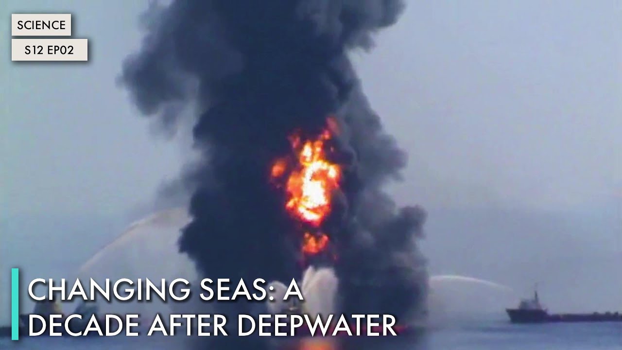 Changing Seas: A Decade After Deepwater