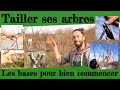 Tailler ses arbres toutes les bases pour bien commencer