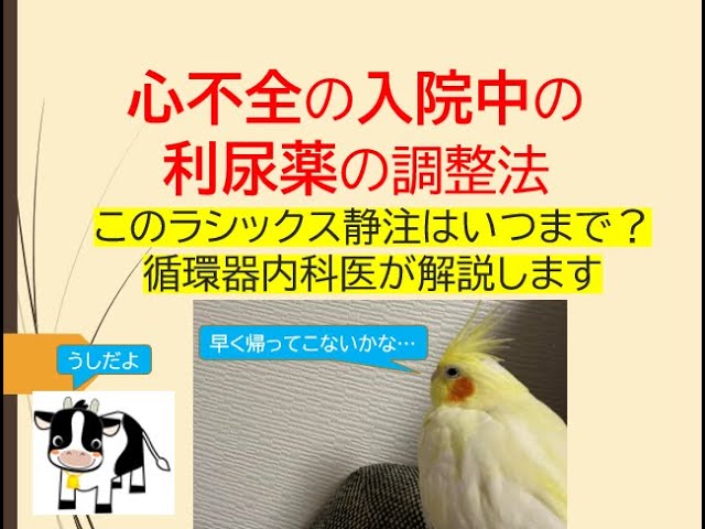 心不全の入院中の利尿薬の調整法 このラシックス静注いつまで を循環器内科医が解説します Youtube