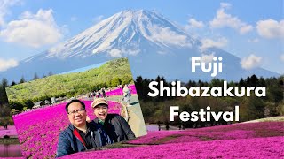 Fuji Shibazakura Festival | Japan Travels