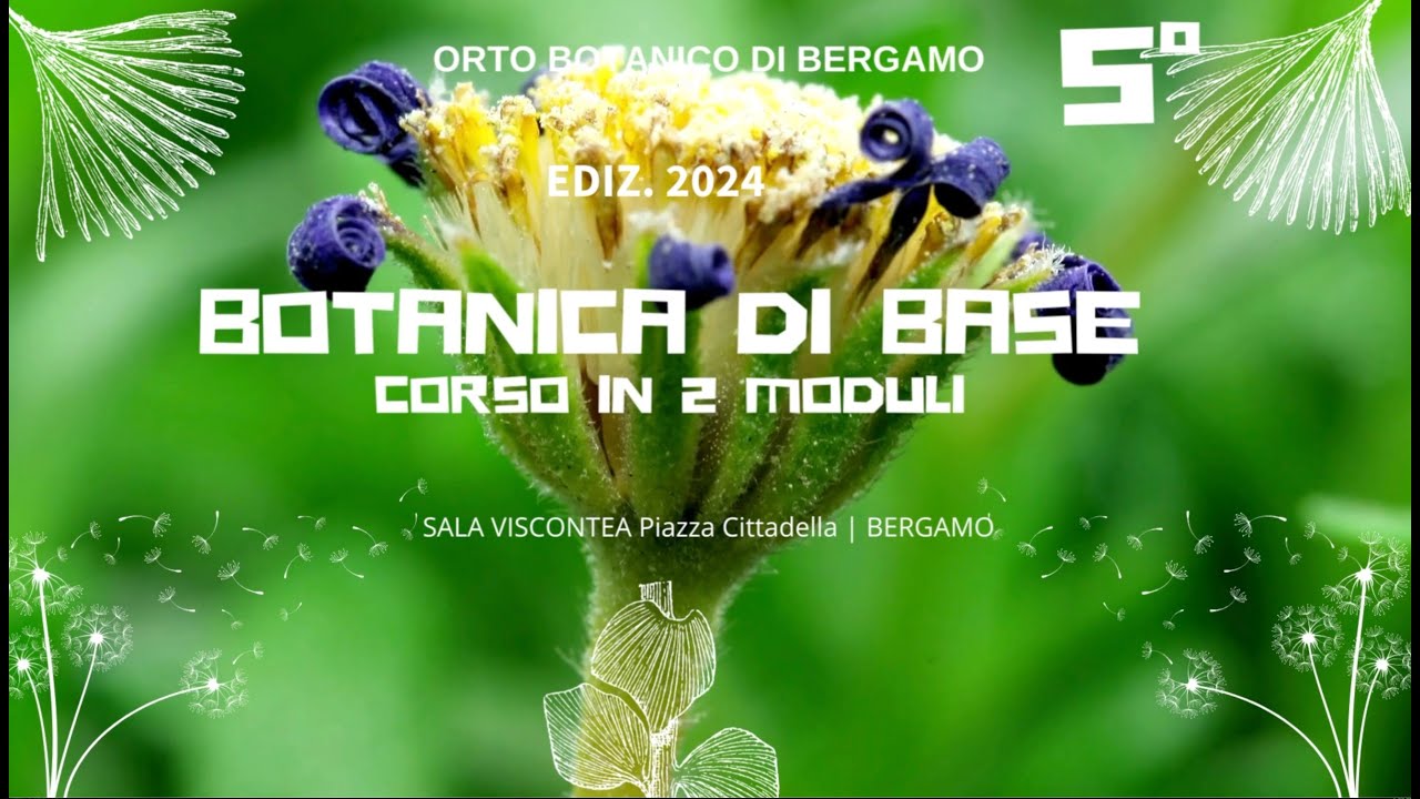 21 marzo 2024 ⎜5° incontro ⎜ Esplorando le Gimnosperme Lezione di Botanica ⎜con Francesco Zonca