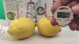 Enviro Battery: How to make a Lemon clock