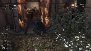 Bloodborne - Defiled Cursed Dungeons