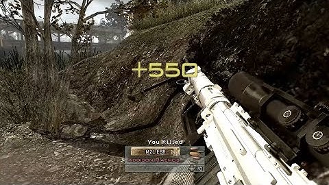 IW4X Wild Scope Still Swap Reverse Reload